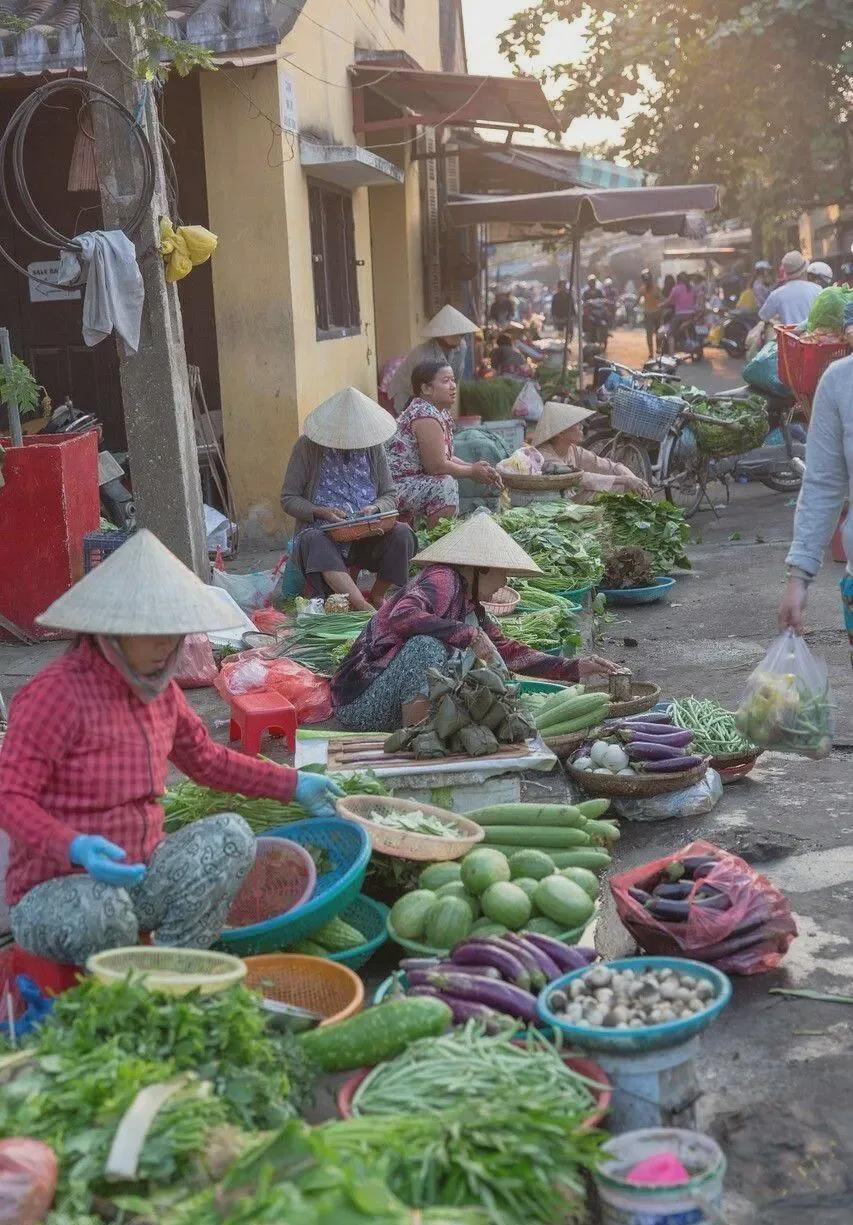 九游游戏-苏林时代：越南的选择与放弃